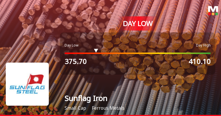 Sunflag Iron & Steel Company Ltd Hits Intraday Low Amid Price Pressure