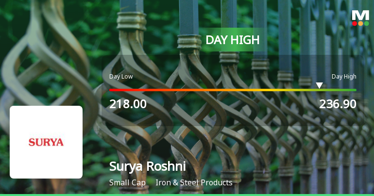 Surya Roshni Ltd Surges 7.45% to Day's High of Rs 233 — Outperforms Sector by 4.6 Percentage Points