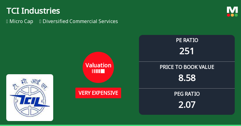 TCI Industries Ltd Valuation Shifts Signal Heightened Risk Amid Price Correction