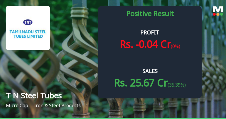 Tamilnadu Steel Tubes Q4 FY26: Micro-Cap Struggles with Profitability Despite Revenue Growth