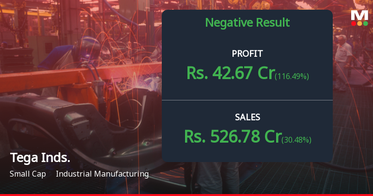 Tega Industries Q4 FY26: Strong Revenue Recovery Masks Margin Erosion and Profit Volatility