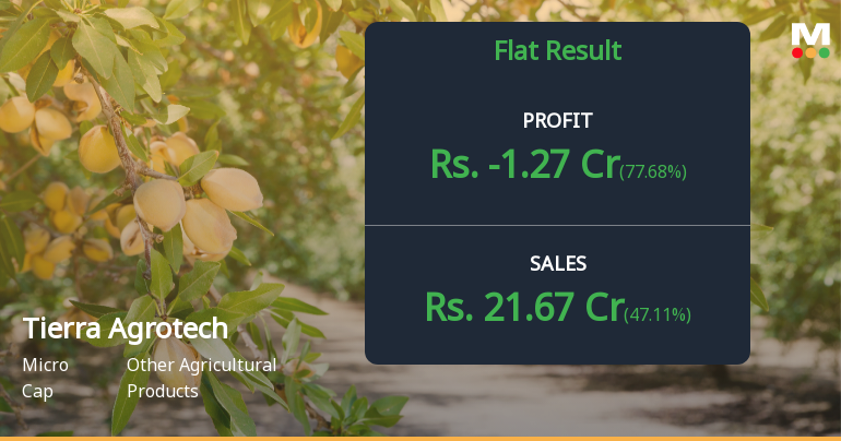 Tierra Agrotech Q4 FY26: Losses Deepen Despite Revenue Surge