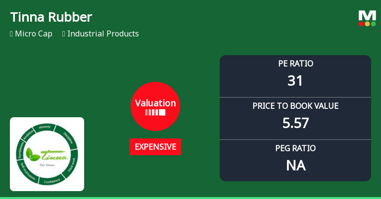Tinna Rubber & Infrastructure Ltd Valuation Shifts Signal Price Attractiveness Change