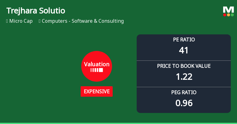 Trejhara Solutions Ltd Valuation Shifts Amidst Market Pressure