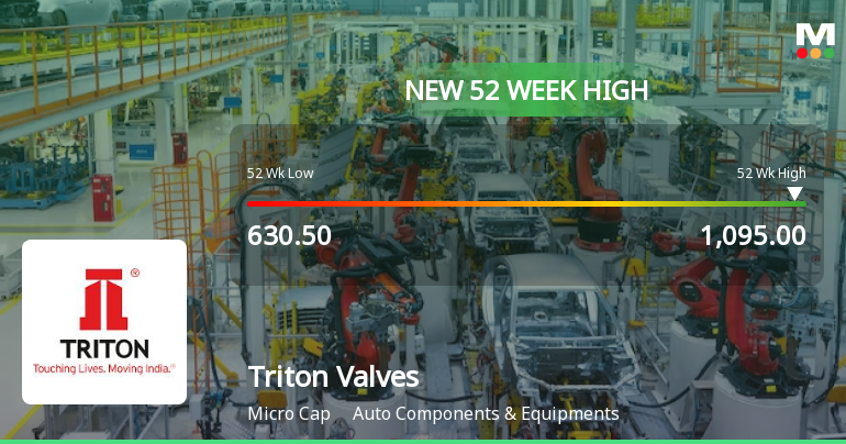 Broad-Based Technical Strength Lifts Triton Valves Ltd to 52-Week High of Rs 1095