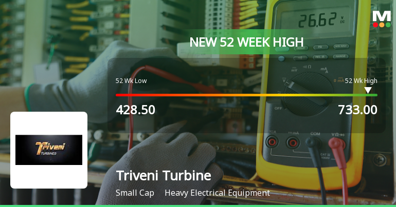 Broad-Based Technical Strength Lifts Triveni Turbine Ltd. to 52-Week High of Rs 733