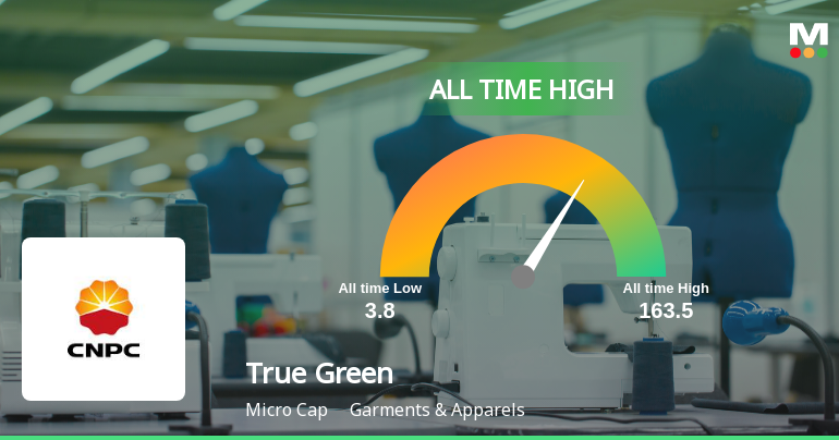 Strong Momentum Meets Stretched Valuations as True Green Bio Energy Ltd Reaches All-Time High