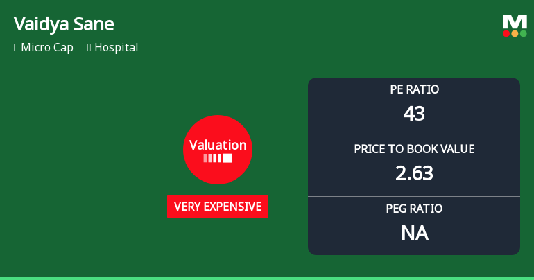Vaidya Sane Ayurved Laboratories Ltd Valuation Shifts Signal Heightened Price Risk