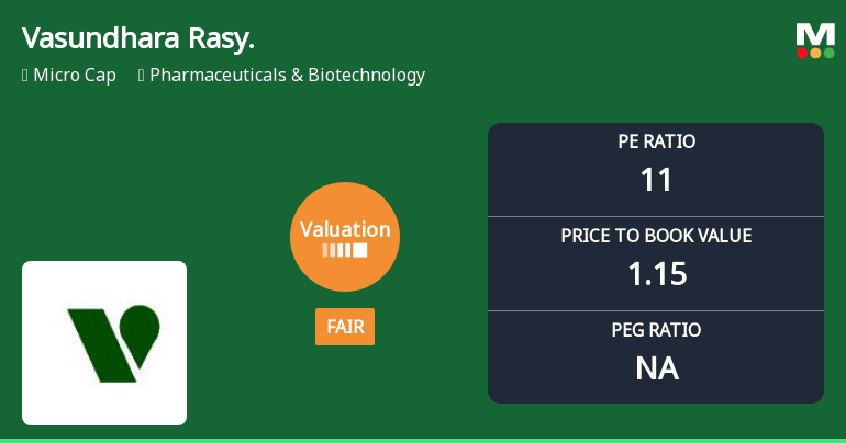 Vasundhara Rasayans Ltd Valuation Shifts Signal Changing Market Sentiment