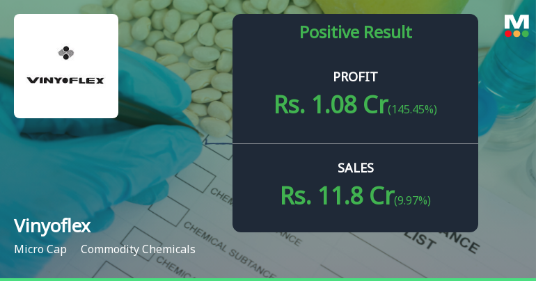 Vinyoflex Q4 FY25: Strong Quarter Masks Deeper Concerns