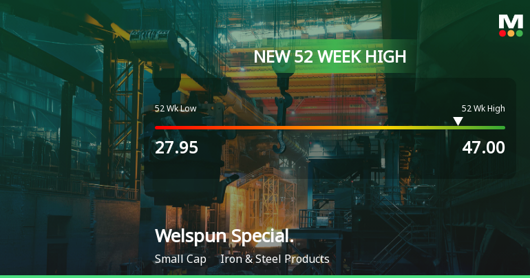 Broad-Based Technical Strength Lifts Welspun Specialty Solutions Ltd to 52-Week High of Rs 47