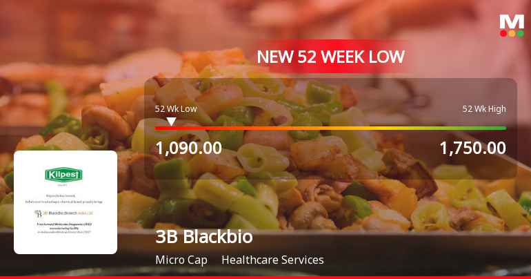 3B Blackbio DX Ltd Falls to 52-Week Low of Rs 1090 as Sell-Off Deepens
