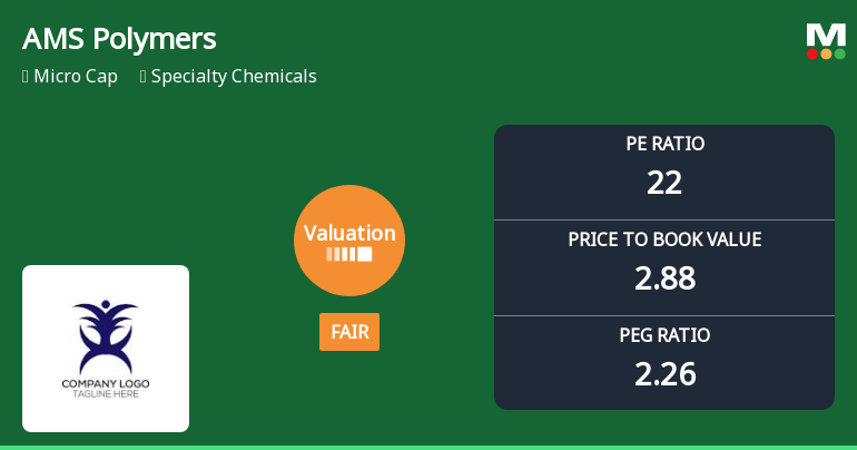 AMS Polymers Ltd Valuation Shifts to Fair Amid Mixed Market Performance