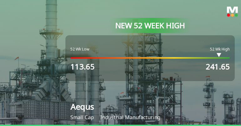Broad-Based Technical Strength Lifts Aequs Ltd to 52-Week High of Rs 241.65