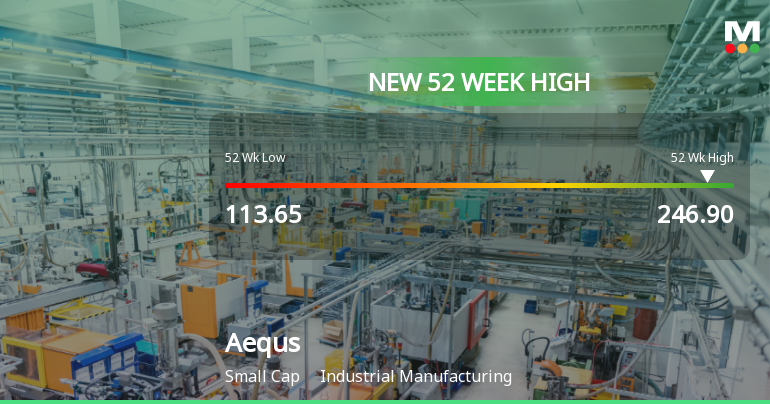 Broad-Based Technical Strength Lifts Aequs Ltd to 52-Week High of Rs 246.9