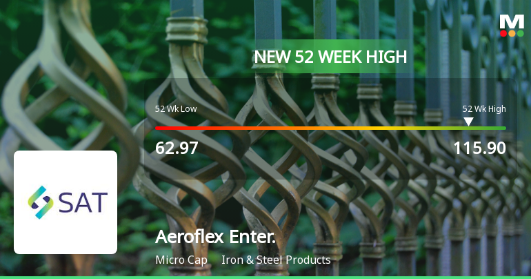 Broad-Based Technical Strength Lifts Aeroflex Enterprises Ltd to 52-Week High of Rs 115.9