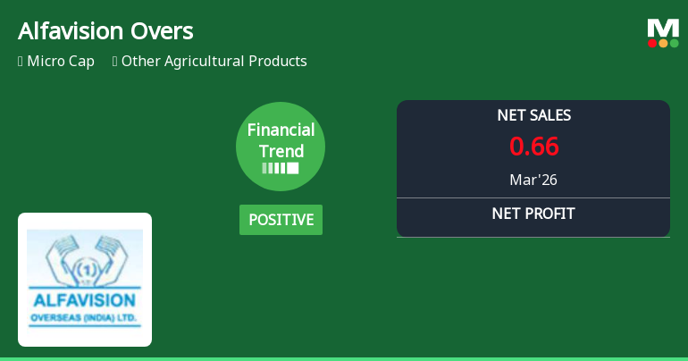 Alfavision Overseas (India) Ltd Reports Positive Quarterly Turnaround Amid Mixed Long-Term Returns