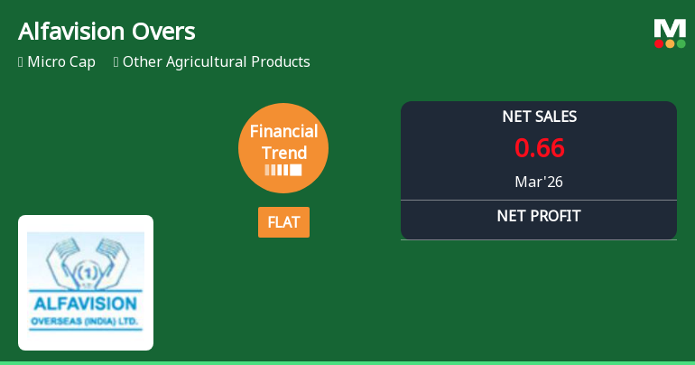 Alfavision Overseas Reports Flat Quarterly Performance Amid Mixed Financial Indicators