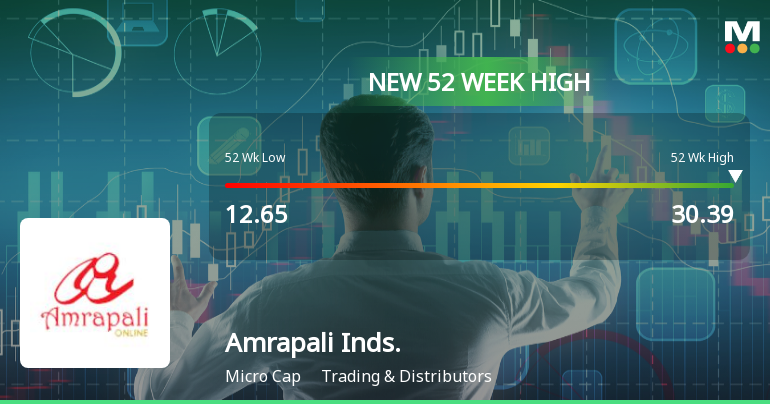 Broad-Based Technical Strength Lifts Amrapali Industries Ltd to 52-Week High of Rs 30.39