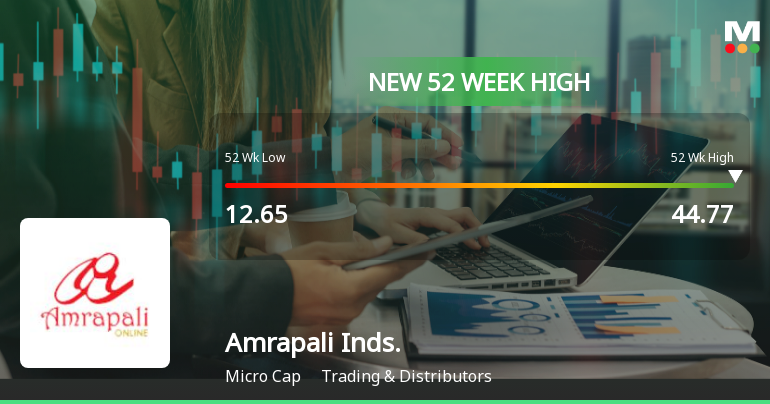 Broad-Based Technical Strength Lifts Amrapali Industries Ltd to 52-Week High of Rs 44.77
