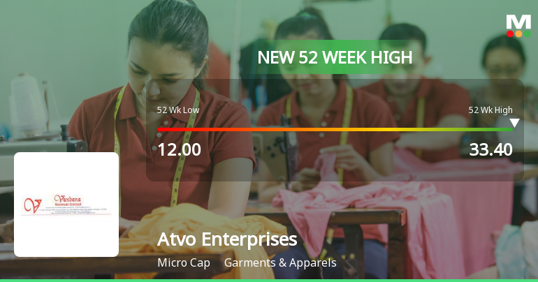Broad-Based Technical Strength Lifts Atvo Enterprises Ltd to 52-Week High of Rs 33.4
