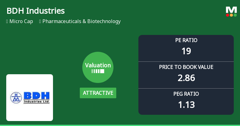 BDH Industries Ltd Valuation Shifts Signal Renewed Price Attractiveness
