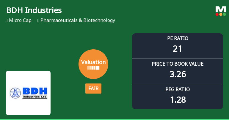 BDH Industries Ltd Valuation Shifts Signal Changing Market Perception