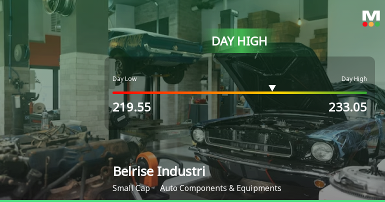 Belrise Industries Ltd Surges 7.15% to Day's High of Rs 233.05 — Outperforms Sector by 5.64 Percentage Points