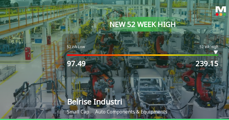 Broad-Based Technical Strength Lifts Belrise Industries Ltd to 52-Week High of Rs 239.15