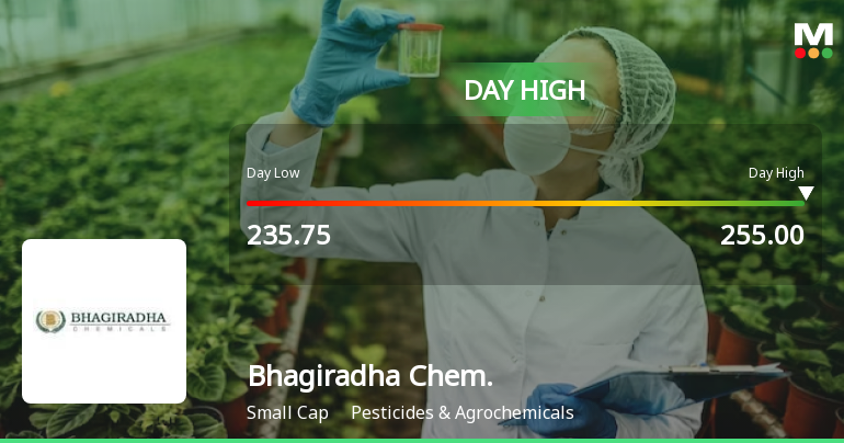 Bhagiradha Chemicals & Industries Ltd Surges 8.05% to Day's High of Rs 253.2 — Outperforms Sector by 5.6 Percentage Points