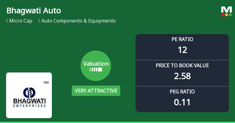 Bhagwati Autocast Ltd Valuation Shifts Signal Renewed Price Attractiveness