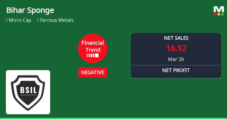 Bihar Sponge Iron Ltd Reports Sharp Quarterly Decline Amid Negative Financial Trend