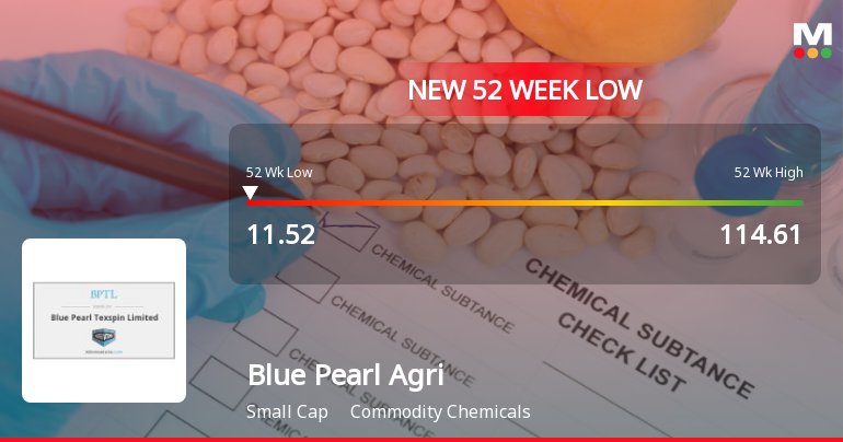 Blue Pearl Agriventures Ltd Falls to 52-Week Low of Rs 11.75 as Sell-Off Deepens