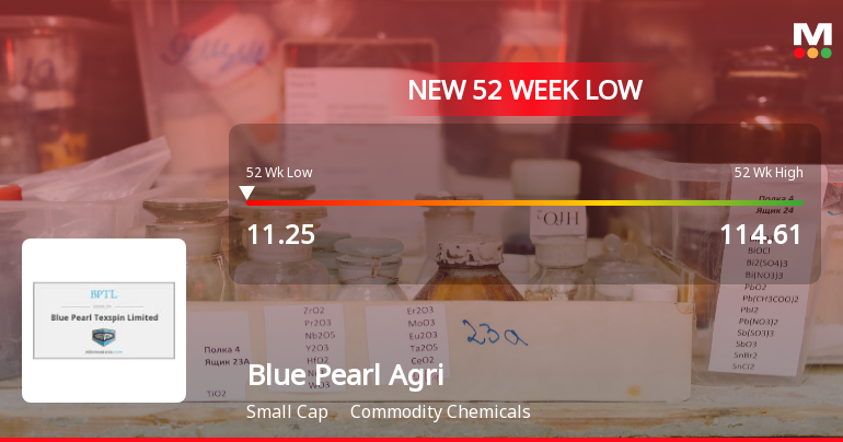Five Consecutive Losses Push Blue Pearl Agriventures Ltd to a New 52-Week Low