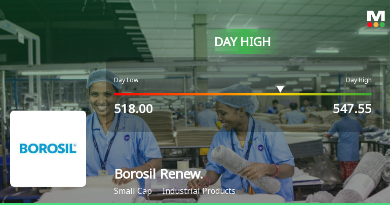 Borosil Renewables Ltd Surges 7.42% to Day's High of Rs 534 — Outperforms Sector by 5.5 Percentage Points