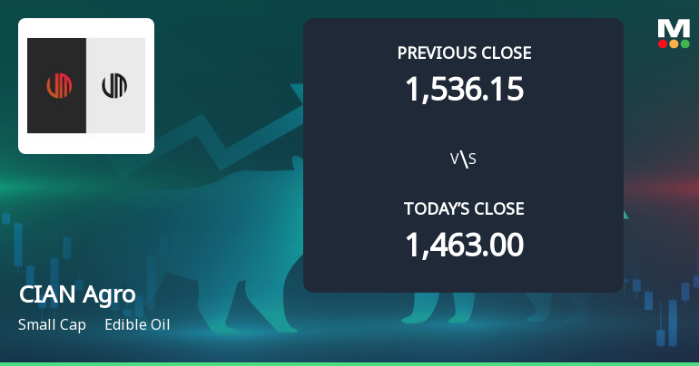 CIAN Agro Industries & Infrastructure Ltd Opens 5% Higher Amid Mixed Technical Signals