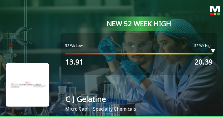 Broad-Based Technical Strength Lifts C J Gelatine Products Ltd to 52-Week High of Rs 20.39