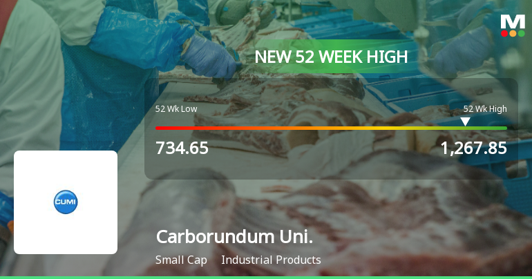 Broad-Based Technical Strength Lifts Carborundum Universal Ltd to 52-Week High of Rs 1267.85