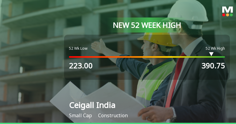 Broad-Based Technical Strength Lifts Ceigall India Ltd to 52-Week High of Rs 390.5