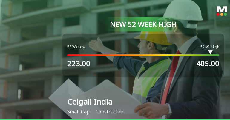 Broad-Based Technical Strength Lifts Ceigall India Ltd to 52-Week High of Rs 405