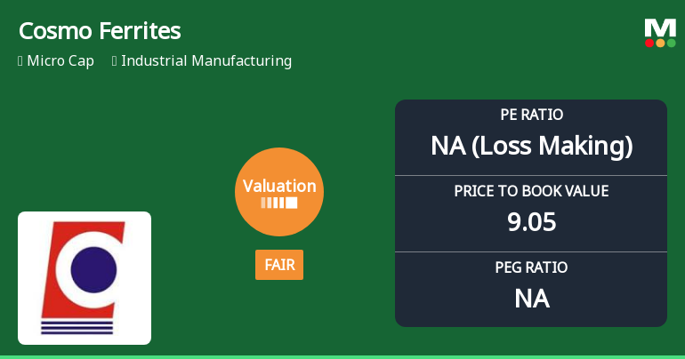 Cosmo Ferrites Ltd Valuation Shifts to Fair Amidst Challenging Market Returns