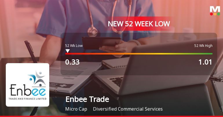 Enbee Trade & Finance Ltd Falls to 52-Week Low of Rs 0.33 as Sell-Off Deepens