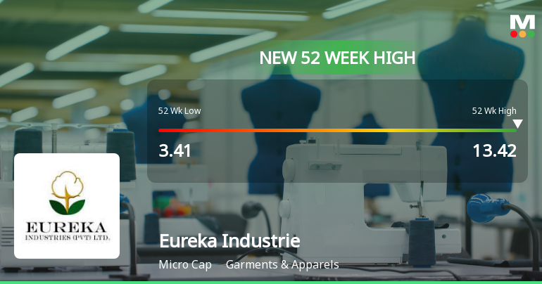 Broad-Based Technical Strength Lifts Eureka Industries Ltd to 52-Week High of Rs 13.42