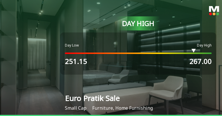 Euro Pratik Sales Ltd Surges 7.21% to Day's High of Rs 265.9 — Outperforms Sector by 6.5 Percentage Points