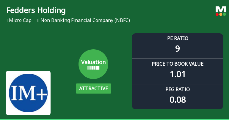 Fedders Holding Ltd Valuation Shifts Signal Renewed Price Attractiveness Amid Mixed Returns