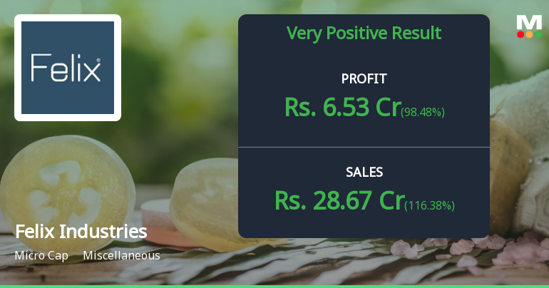 Felix Industries Q4 FY26: Revenue Surge Masks Margin Compression Concerns