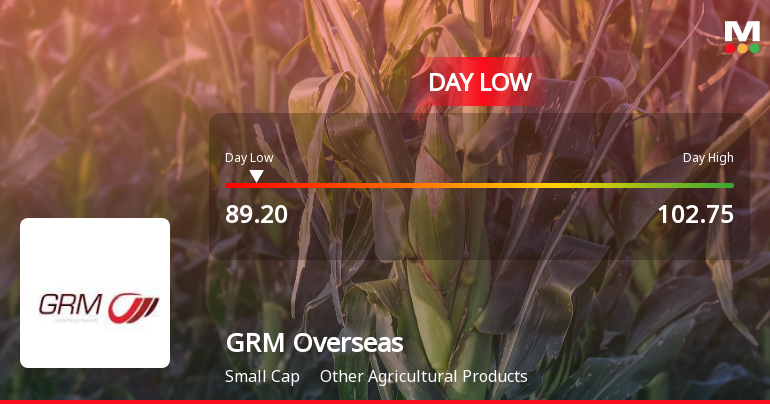 GRM Overseas Ltd Hits Intraday Low Amidst Price Pressure on 10 June 2026