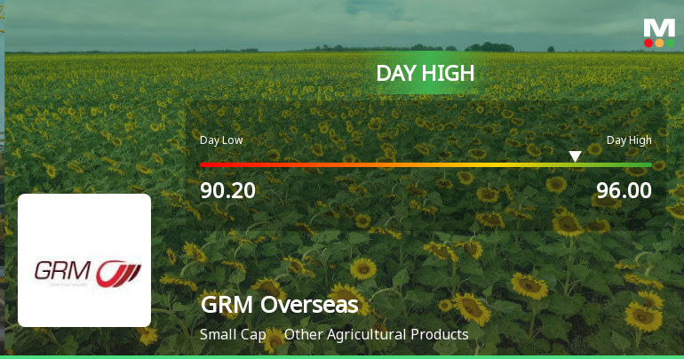GRM Overseas Ltd Surges 9.97% to Day's High of Rs 96 — Outperforms Sector by 8.1 Percentage Points