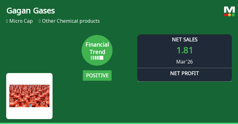 Gagan Gases Ltd Reports Strong Quarterly Financial Turnaround Amid Market Volatility