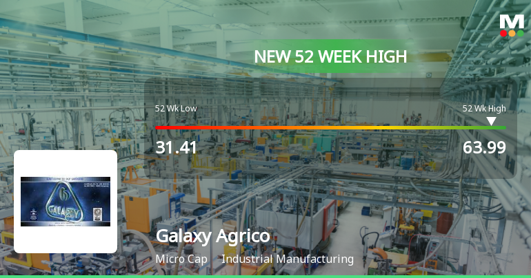 Broad-Based Technical Strength Lifts Galaxy Agrico Exports Ltd to 52-Week High of Rs 63.99